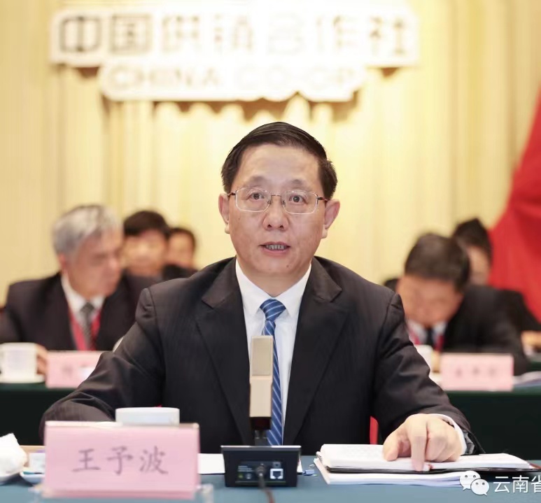 02fa70bf4a62614c2027042d77c88fd 02fa70bf4a62614c2027042d77c88fd